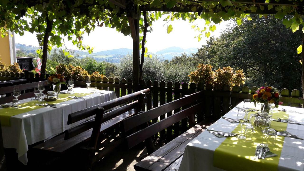 绍萨尔地区基策克Weingut Stoff住宿加早餐旅馆 外观 照片