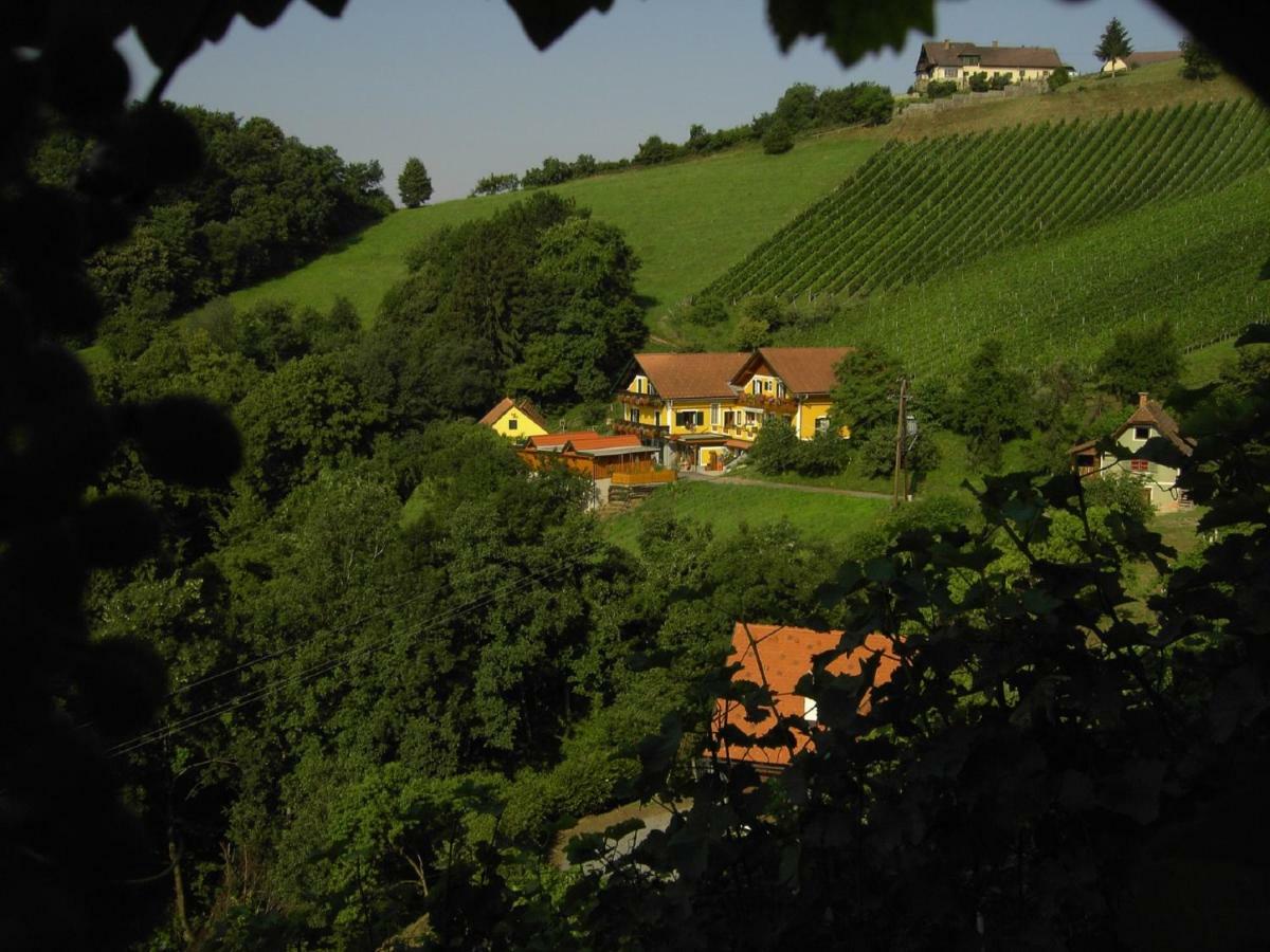 绍萨尔地区基策克Weingut Stoff住宿加早餐旅馆 外观 照片