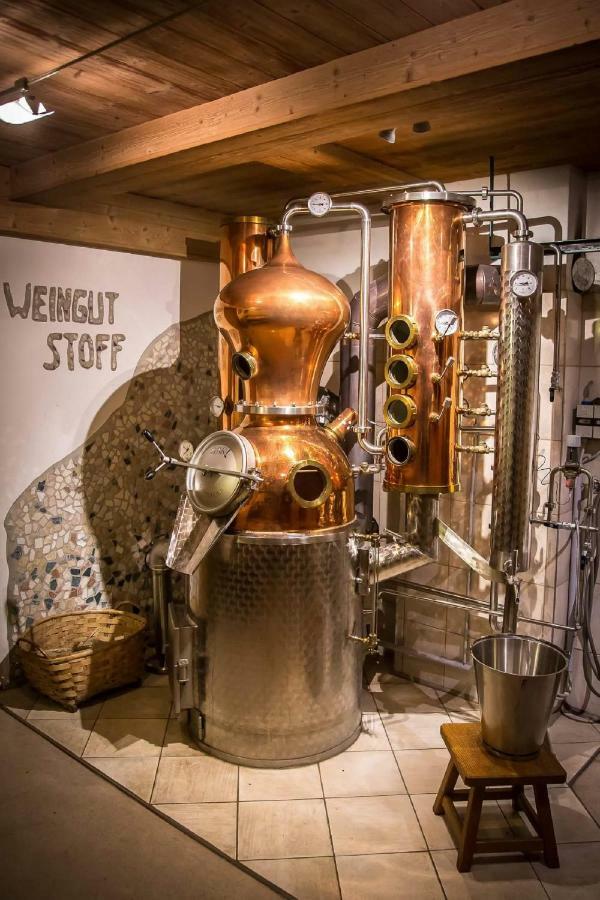 绍萨尔地区基策克Weingut Stoff住宿加早餐旅馆 外观 照片