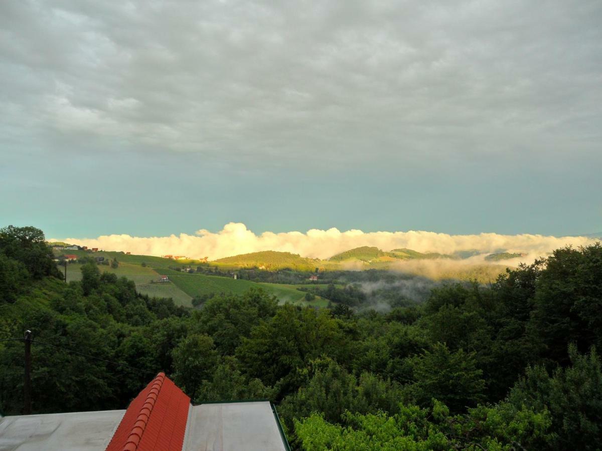 绍萨尔地区基策克Weingut Stoff住宿加早餐旅馆 外观 照片